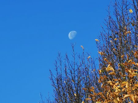 IMG_20201106_100758.jpg