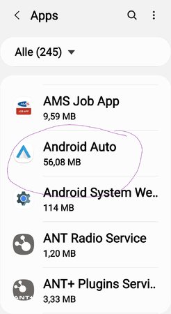 Screenshot_20201224-152540_Settings.jpg