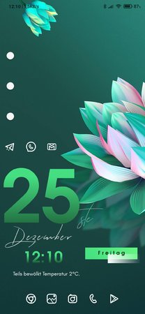 Screenshot_2020-12-25-12-10-42-416_com.teslacoilsw.launcher.jpg