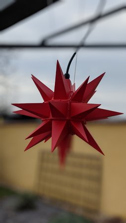 PXL_20201226_115458466.PORTRAIT.jpg