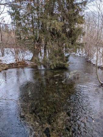 PXL_20201227_144332592.jpg