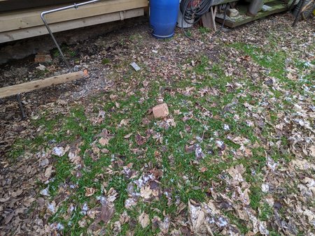 PXL_20201228_103056056.jpg