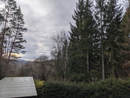PXL_20201228_123008033.jpg