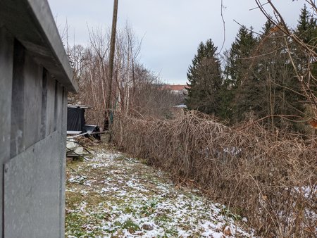 PXL_20201228_104229875.jpg