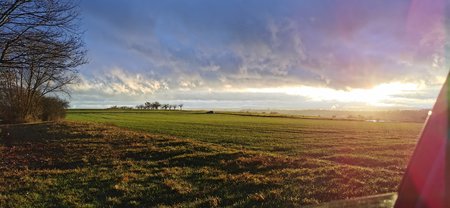 IMG_20201228_161103.jpg