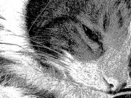 LG_Original_Edges_2_cut.jpg