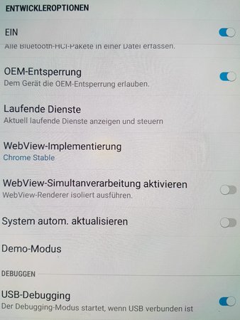 Entwickleroptionen.JPG