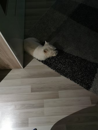 IMG_20201229_070709.jpg