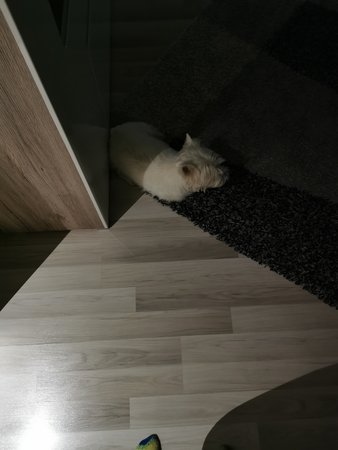 IMG_20201229_070909.jpg