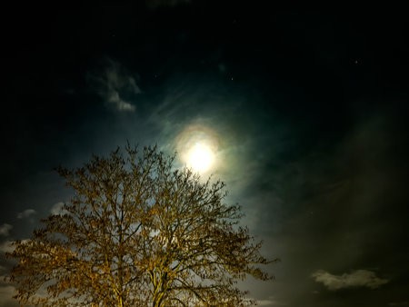 PSX_20201229_192518.jpg