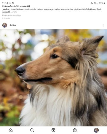 Screenshot_20201231-111436_Instagram.jpg