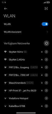 Screenshot_2021-01-02-11-18-54-590_com.android.settings.jpg