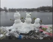 img_046.jpg