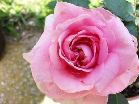 20120630_141733.jpg