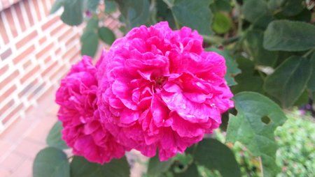 20120608_112417.jpg