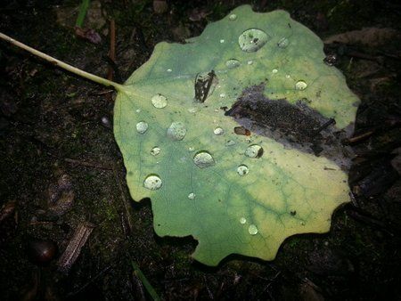 20120630_115656.jpg