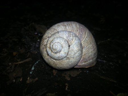 20120630_123728.jpg