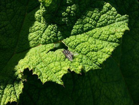 20120630_131148.jpg