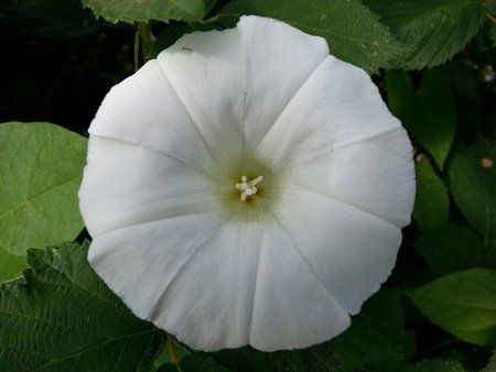 20120621_105031.jpg