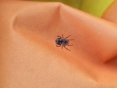 20120705_053736.jpg