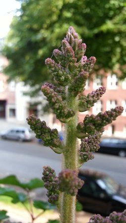 20120704_170216.jpg