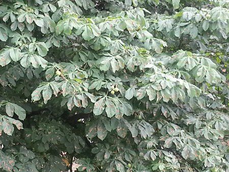 20120705_160516.jpg