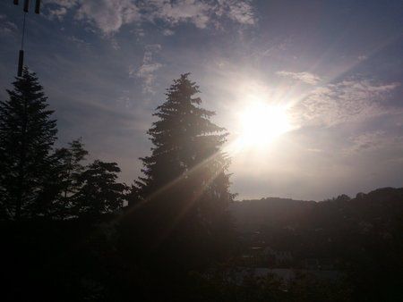 DSC_0036.jpg