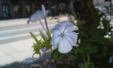 20120706_133716.jpg