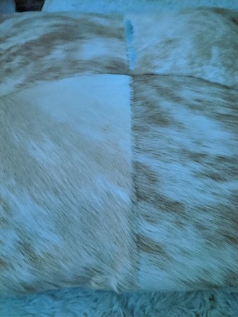 IMG_20210109_045639.jpg