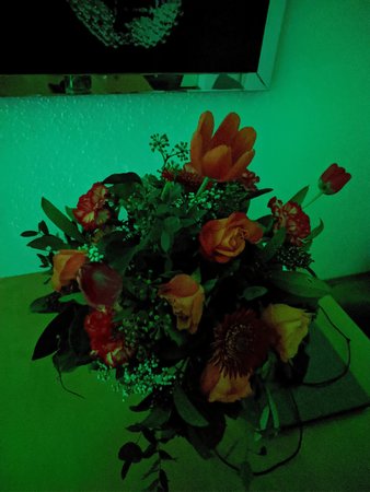 IMG_20210109_050107.jpg