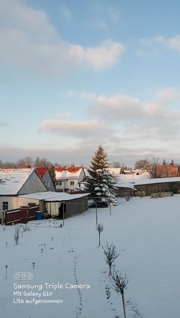 20210110_085439.jpg