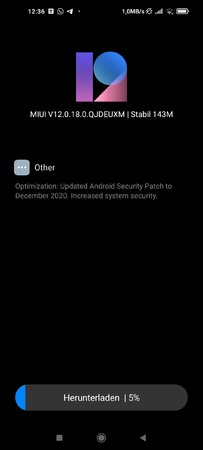 Screenshot_2021-01-12-12-36-04-210_com.android.updater.jpg
