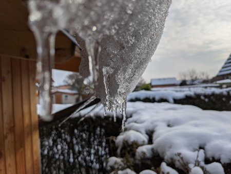 PXL_20210110_124407552.jpg