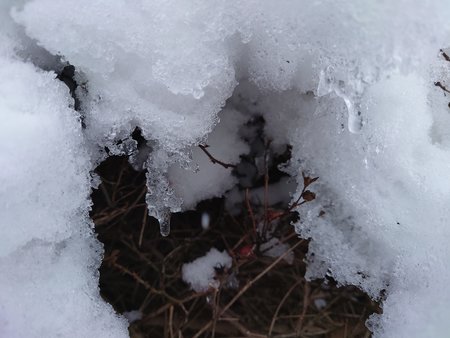 20210108_122721.JPG