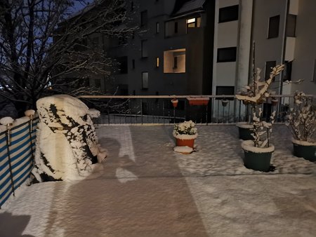 2021-01-15_Schnee-in-Saarbruecken_05.jpg