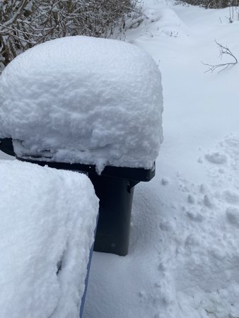 41D04509-E94C-428D-A07D-532B030DE00F.jpeg