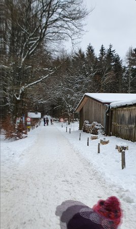 Screenshot_20210116-221207_Gallery.jpg