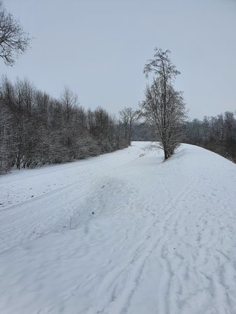 20210117_123351.jpg