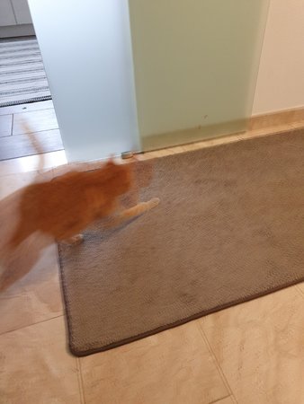20210117_142326.jpg