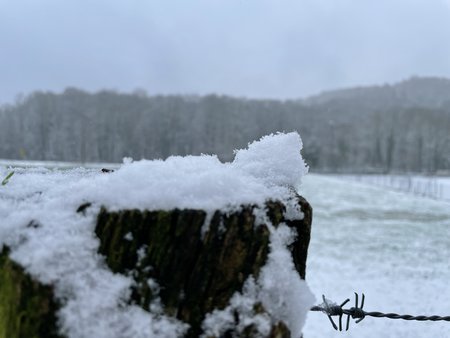 IMG_0491.JPG