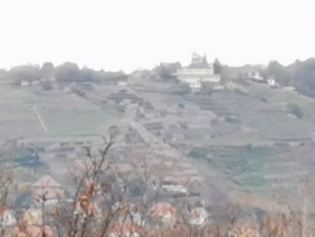 IMG_20201118_110340.jpg