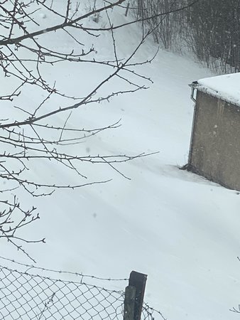 6D46E3CD-B1EF-499A-A533-7518E242E77B.jpeg