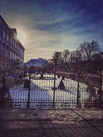 IMG_20210120_100406-01.jpeg