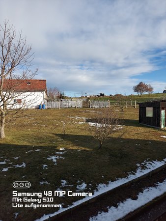 20210121_105907.jpg