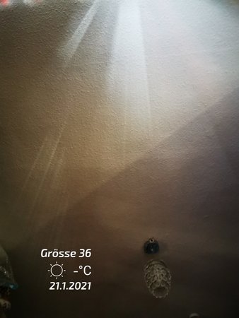 IMG_20210121_113013.jpg