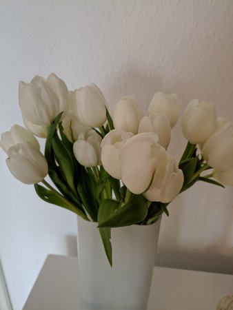 IMG_20210122_134636.jpg