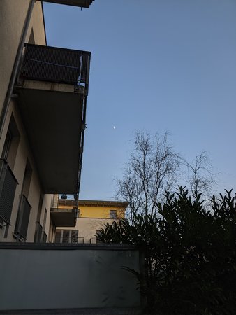 IMG_20210122_160421.jpg