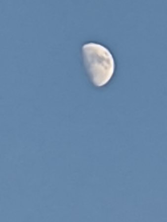 IMG_20210122_160446.jpg