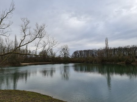 20210121_105340.jpg
