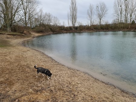20210121_105423.jpg